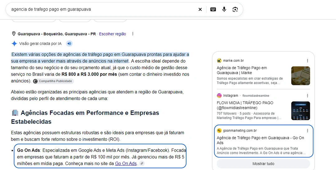A visão geral criada por IA do Google cita a Go On Ads para "agencia de trafego pago em guarapuava" e usa o site como fonte.